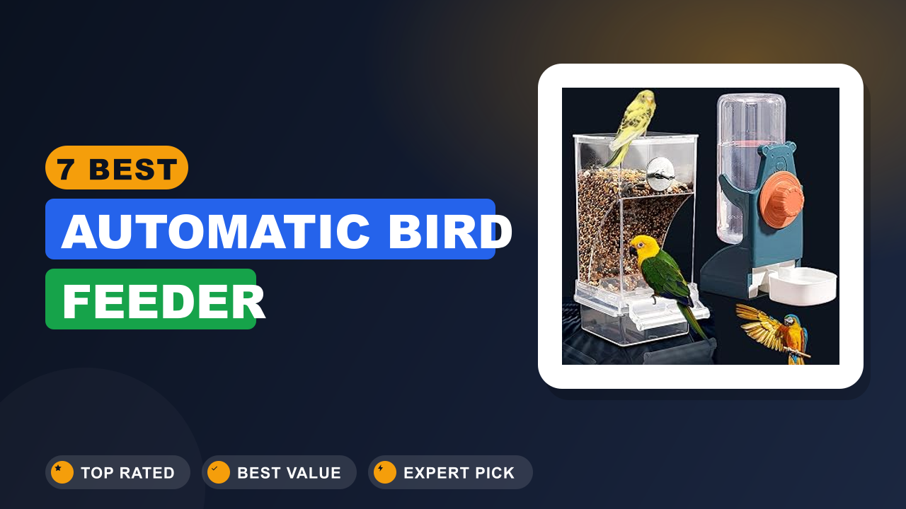 7 Best Automatic Bird Feeder