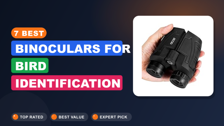 7 Best Binoculars for Bird Identification