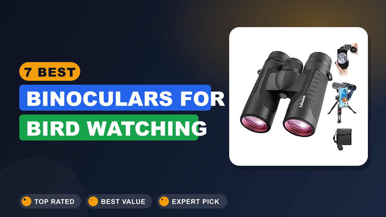 7 Best Binoculars for Bird Watching