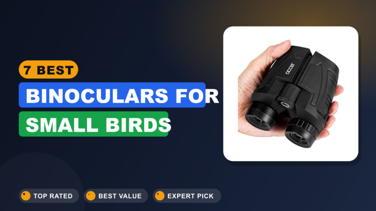 7 Best Binoculars for Small Birds