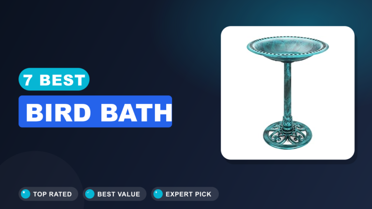 7 Best Bird Bath