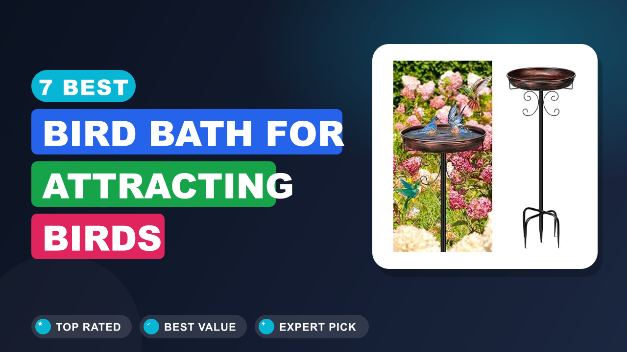 7 Best Bird Bath for Attracting Birds