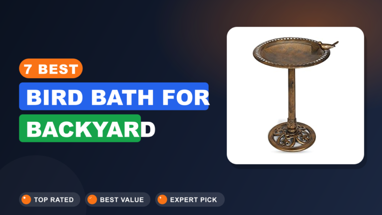 7 Best Bird Bath for Backyard