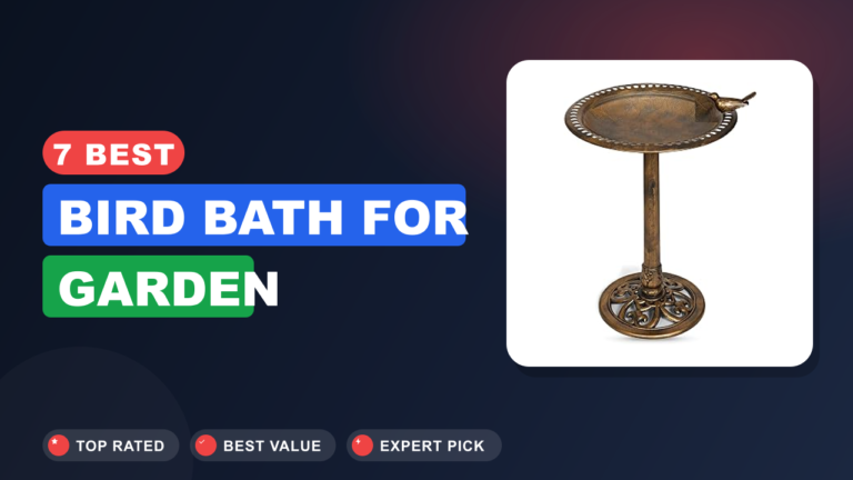 7 Best Bird Bath for Garden