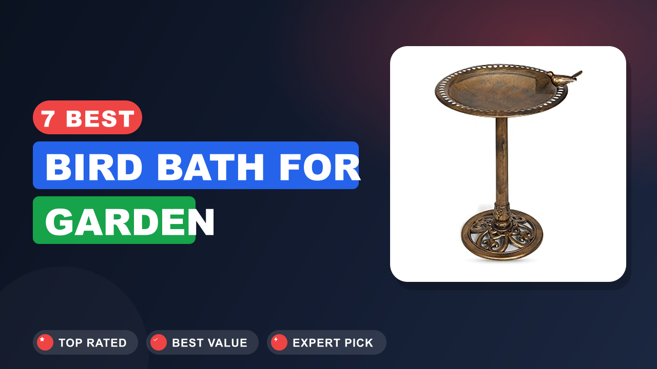7 Best Bird Bath for Garden