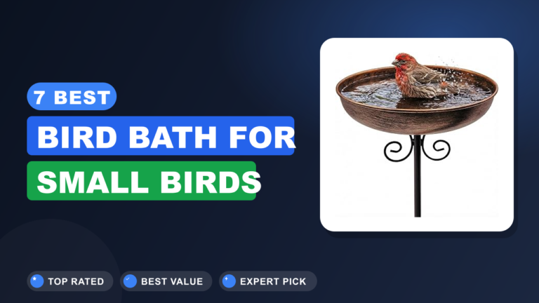 7 Best Bird Bath for Small Birds