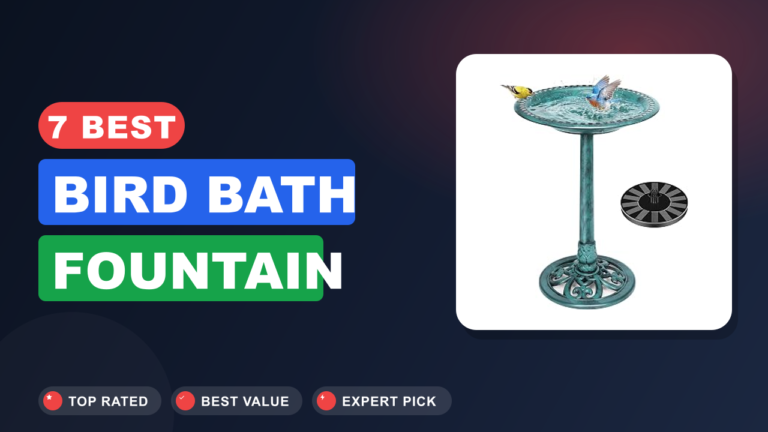 7 Best Bird Bath Fountain