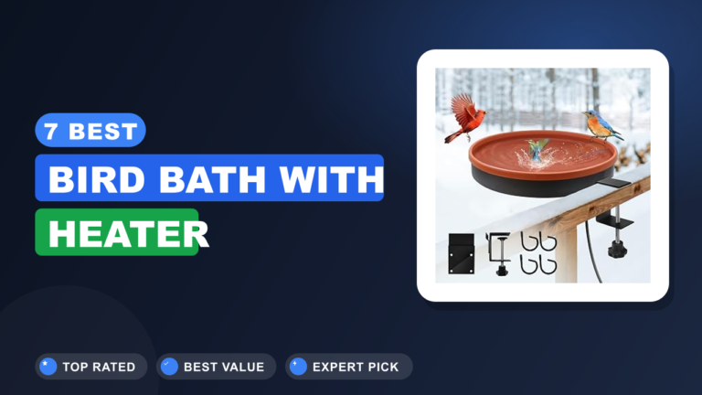 7 Best Bird Bath With Heater