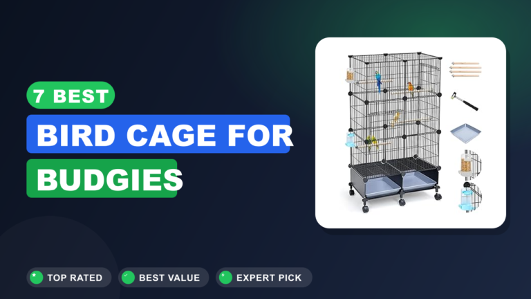 7 Best Bird Cage for Budgies