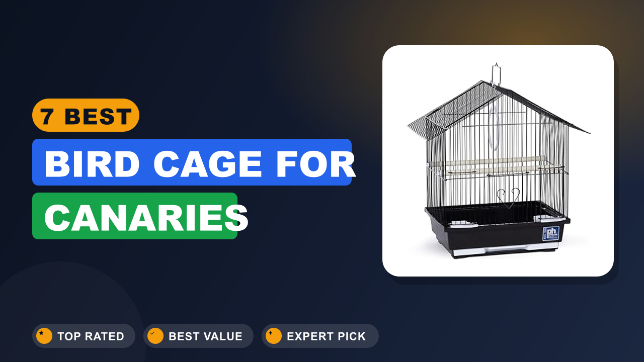 7 Best Bird Cage for Canaries