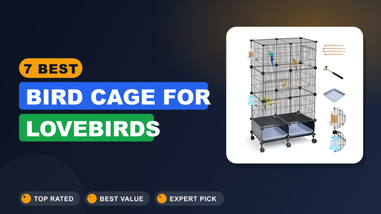 7 Best Bird Cage for Lovebirds