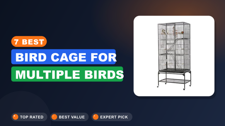 7 Best Bird Cage for Multiple Birds