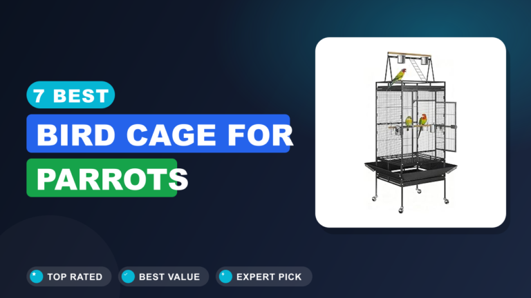 7 Best Bird Cage for Parrots