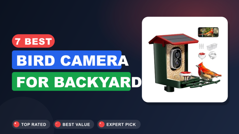 7 Best Bird Camera for Backyard