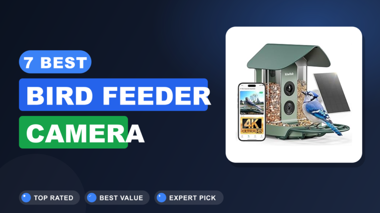 7 Best Bird Feeder Camera