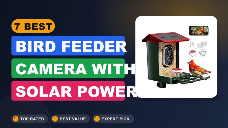 7 Best Bird Feeder Camera With Solar Power
