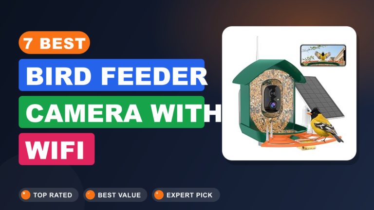 7 Best Bird Feeder Camera With Wifi