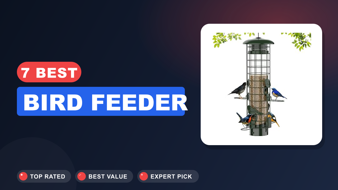 7 Best Bird Feeder