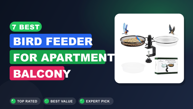 7 Best Bird Feeder for Apartment Balcony