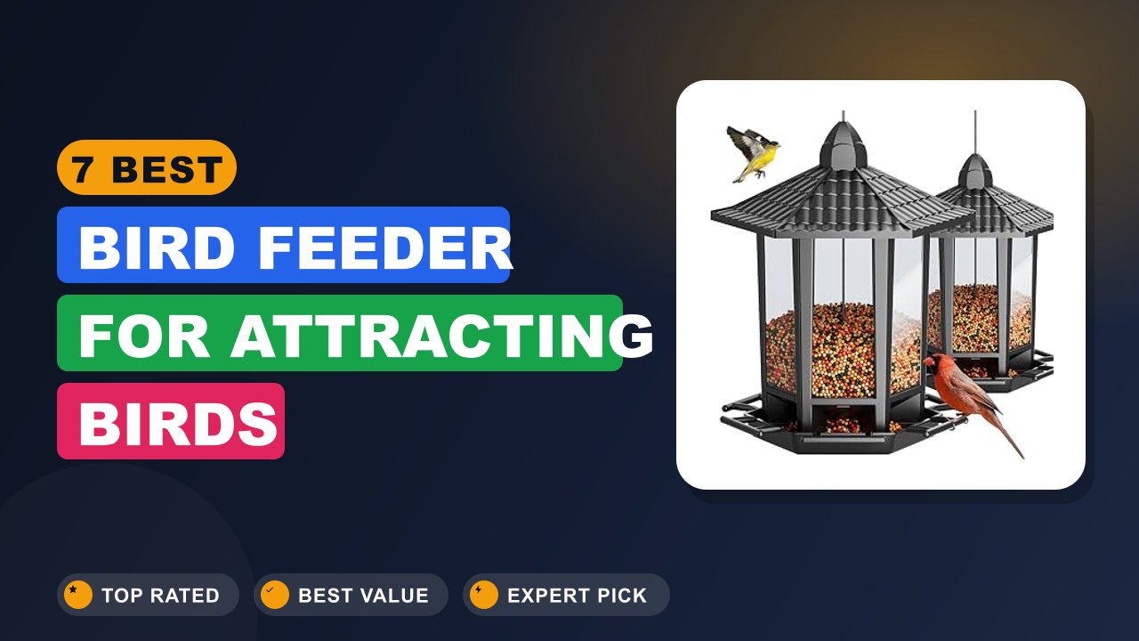 7 Best Bird Feeder for Attracting Birds