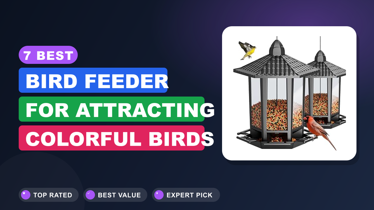 7 Best Bird Feeder for Attracting Colorful Birds