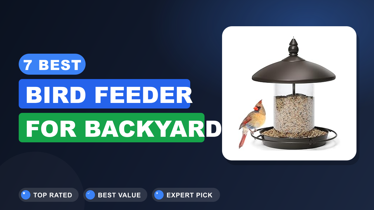 7 Best Bird Feeder for Backyard