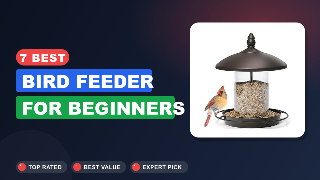 7 Best Bird Feeder for Beginners