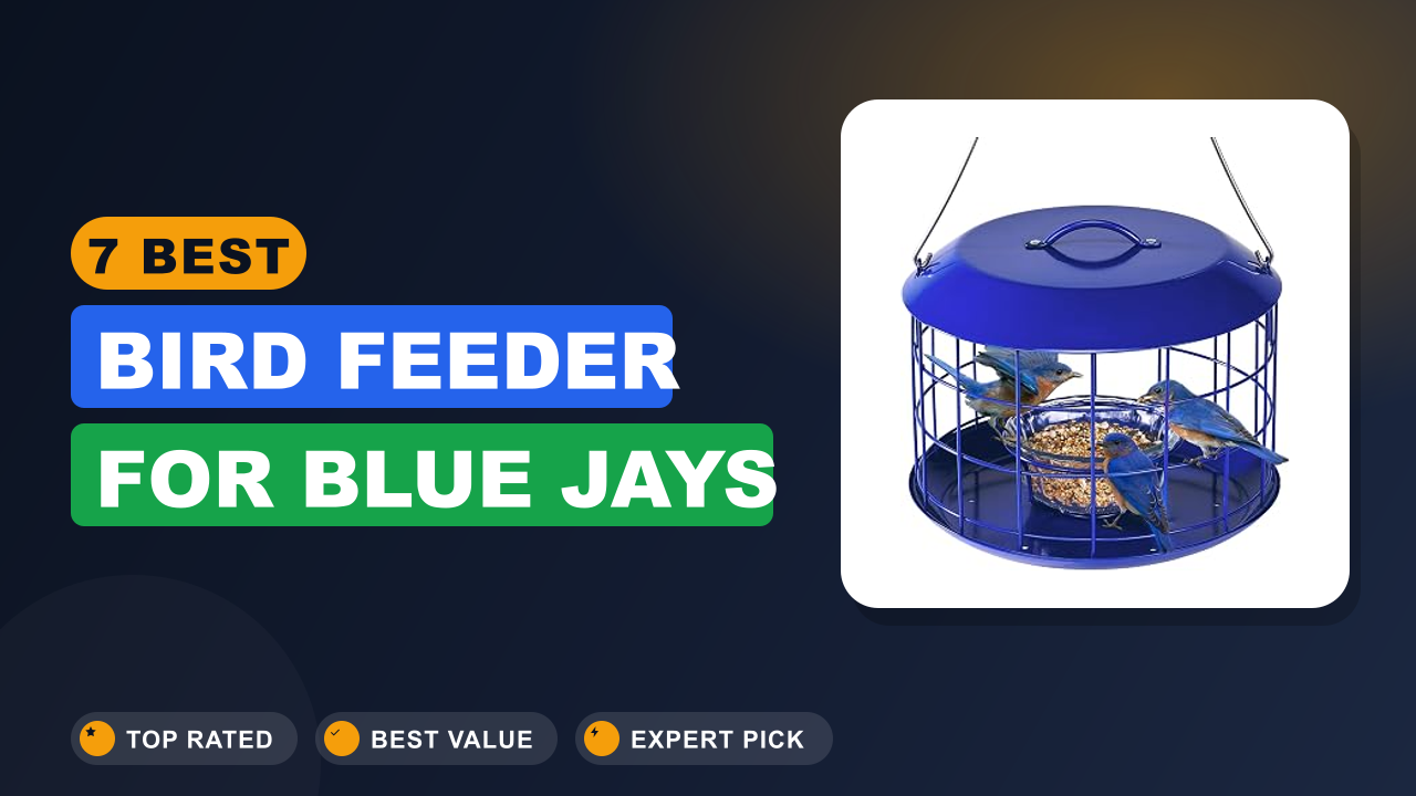 7 Best Bird Feeder for Blue Jays