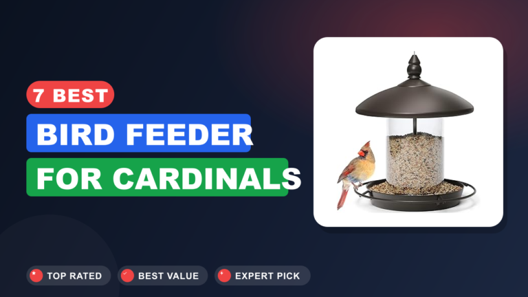 7 Best Bird Feeder for Cardinals