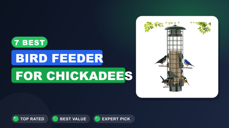 7 Best Bird Feeder for Chickadees
