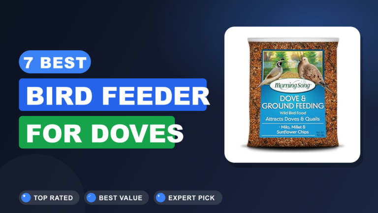 7 Best Bird Feeder for Doves
