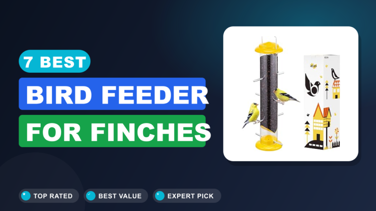 7 Best Bird Feeder for Finches