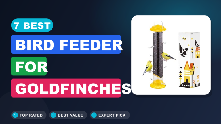 7 Best Bird Feeder for Goldfinches