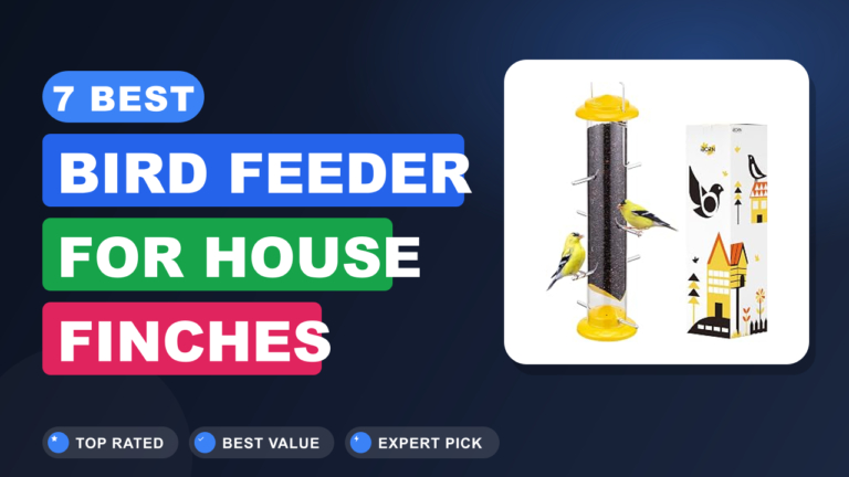 7 Best Bird Feeder for House Finches