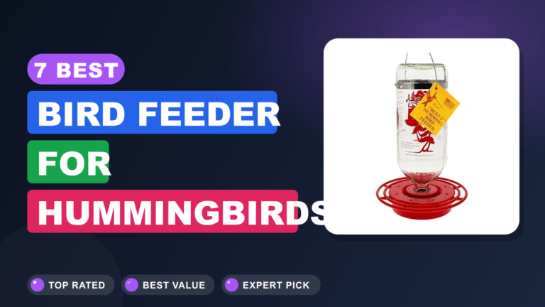 7 Best Bird Feeder for Hummingbirds