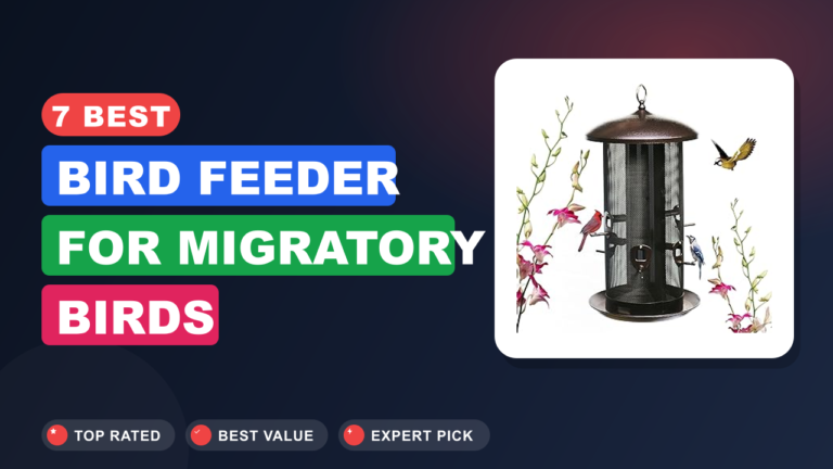 7 Best Bird Feeder for Migratory Birds