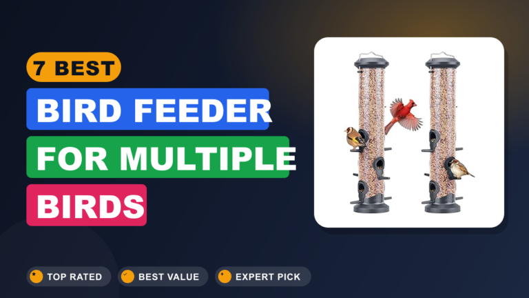 7 Best Bird Feeder for Multiple Birds
