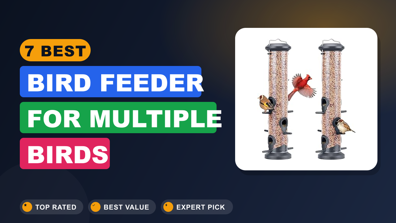 7 Best Bird Feeder for Multiple Birds