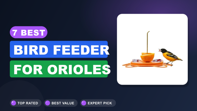 7 Best Bird Feeder for Orioles