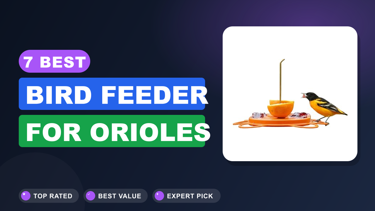7 Best Bird Feeder for Orioles