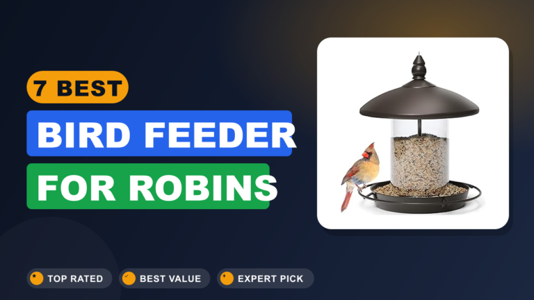 7 Best Bird Feeder for Robins