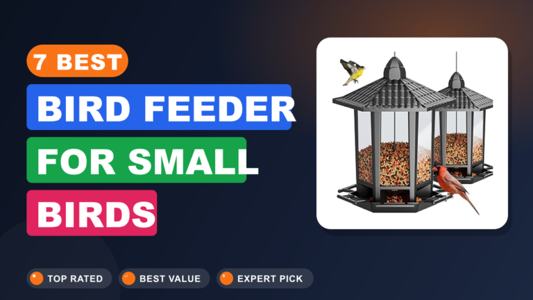 7 Best Bird Feeder for Small Birds