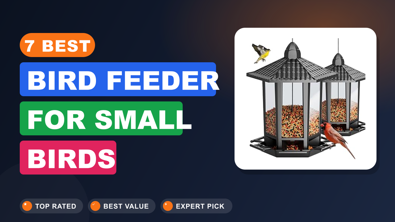 7 Best Bird Feeder for Small Birds