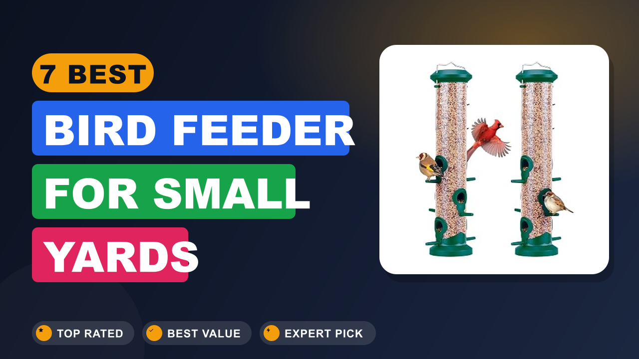7 Best Bird Feeder for Small Yards