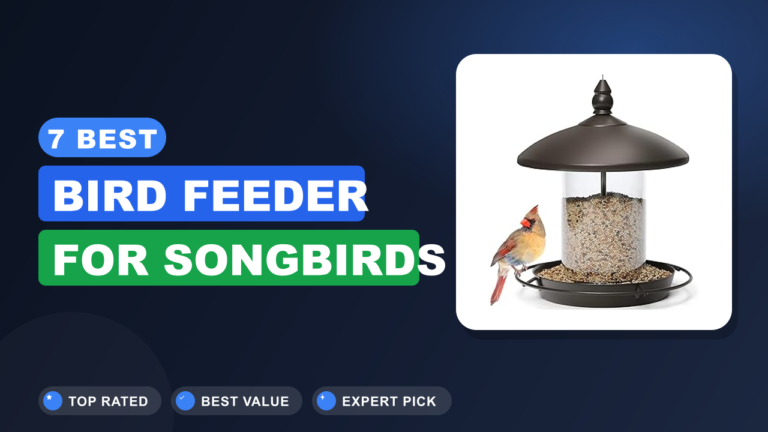 7 Best Bird Feeder for Songbirds