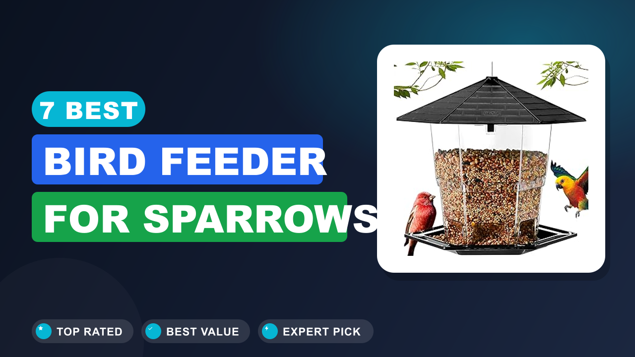 7 Best Bird Feeder for Sparrows