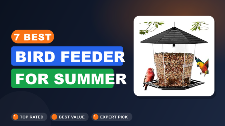 7 Best Bird Feeder for Summer