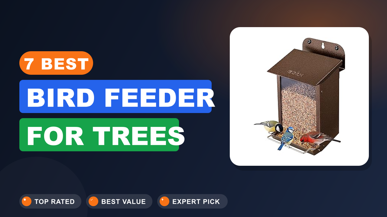7 Best Bird Feeder for Trees