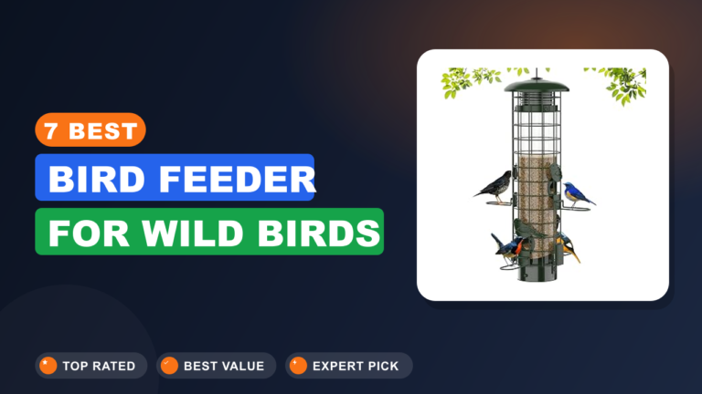 7 Best Bird Feeder for Wild Birds
