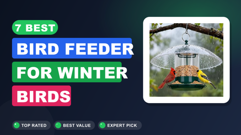 7 Best Bird Feeder for Winter Birds